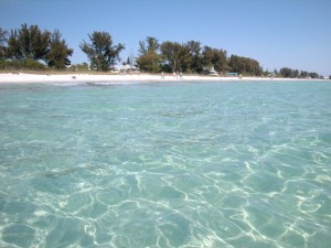 Anna Maria Island The Beach Cruiser clear waters  