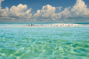 Anna Maria Island The Beach Cruiser crystal clear waters  