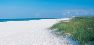 Anna Maria Island The Beach Cruiser sugary sand