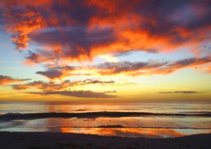 Anna Maria Island The Beach Cruiser sunset 2